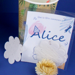 Confettis papier graines