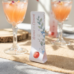 Cavalier 1 bille de graines