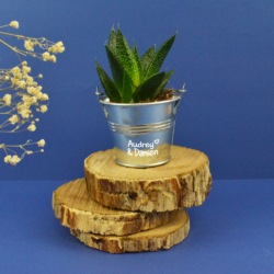 Plante pot zinc Ø7 cm