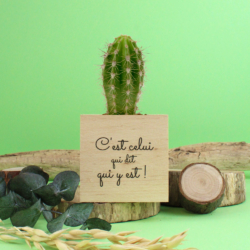 Cube bois plante ou arbre