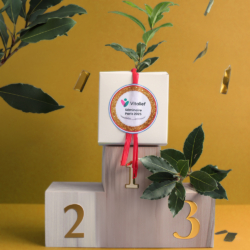 Le cube plant d’arbre Résineux / Feuillus / Prestige