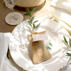 Mini Plant d'arbre en pochon