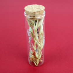 Tube fleurs séchées