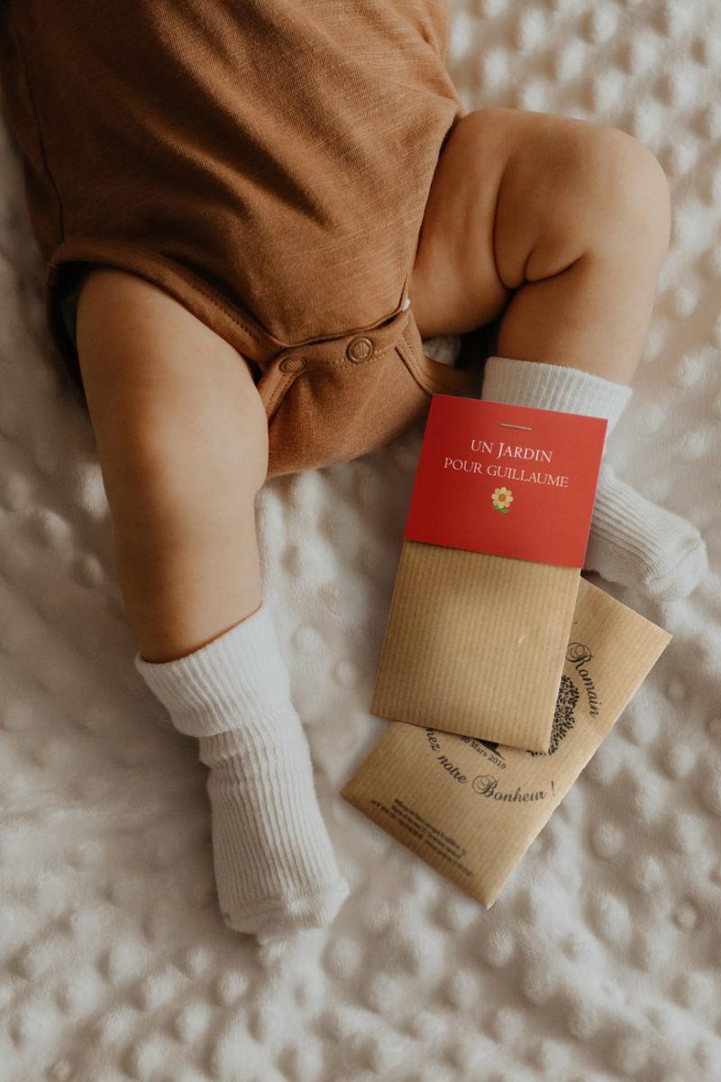 Sachet de graines papier kraft