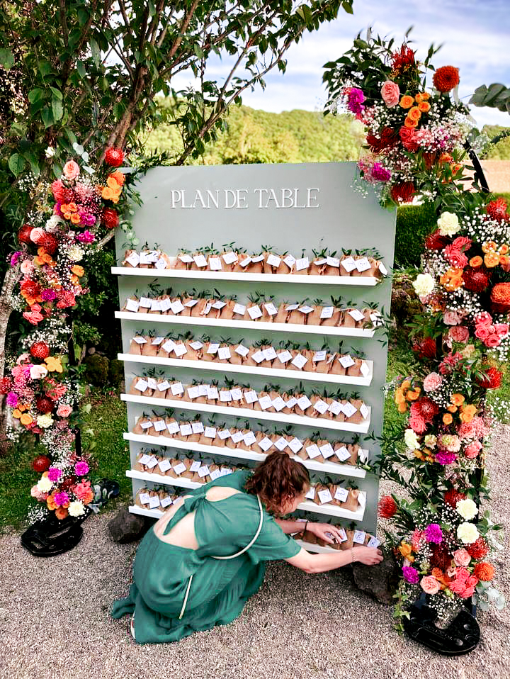 Mini plant d'arbre en pochon