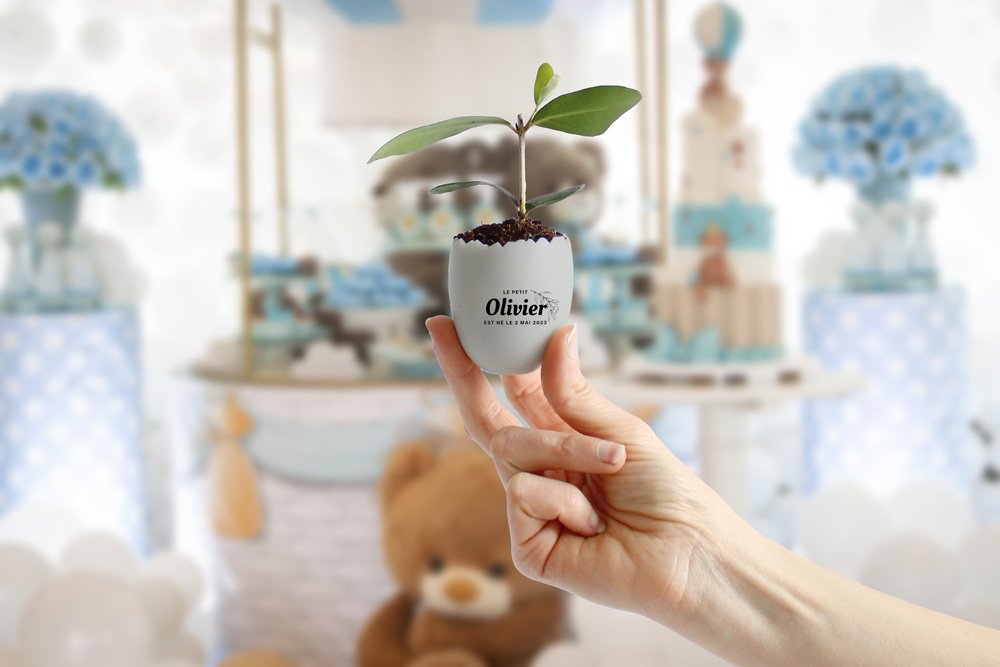 Mini plant d'arbre pot oeuf